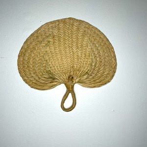 15 Palm leaf hand Fans